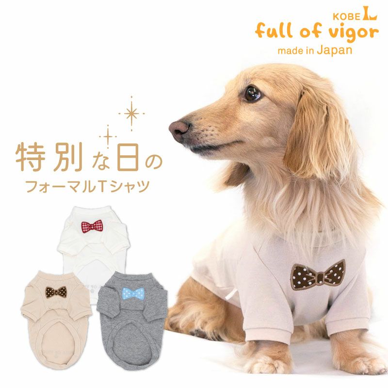 ネックワッペンベア天竺Tシャツ(ダックス・小型犬用)