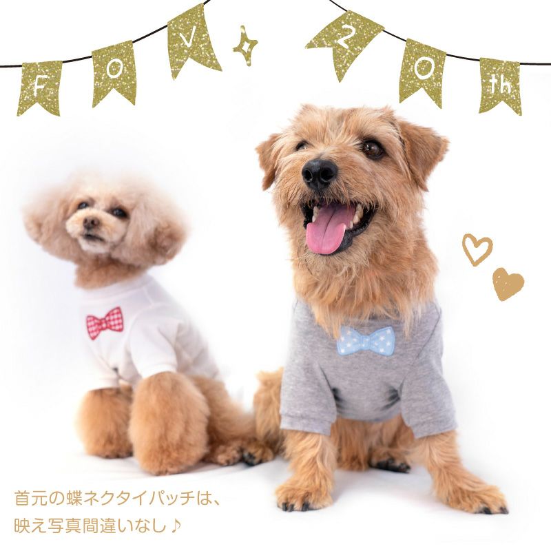 ネックワッペンベア天竺Tシャツ(ダックス・小型犬用)