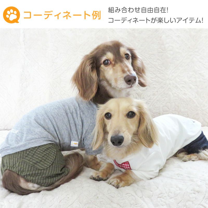 ネックワッペンベア天竺Tシャツ(ダックス・小型犬用)