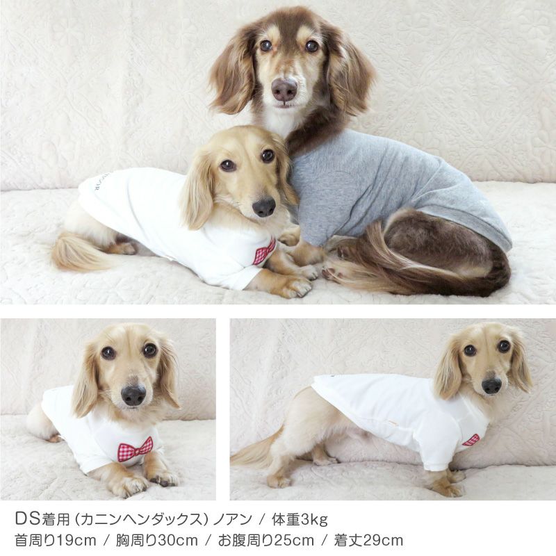 ネックワッペンベア天竺Tシャツ(ダックス・小型犬用)