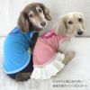 うんちプリントベア天竺タンク(ダックス・小型犬用)