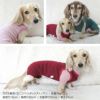 シンプル袖なしプレミアウォームお部屋着(ダックス・小型犬用)
