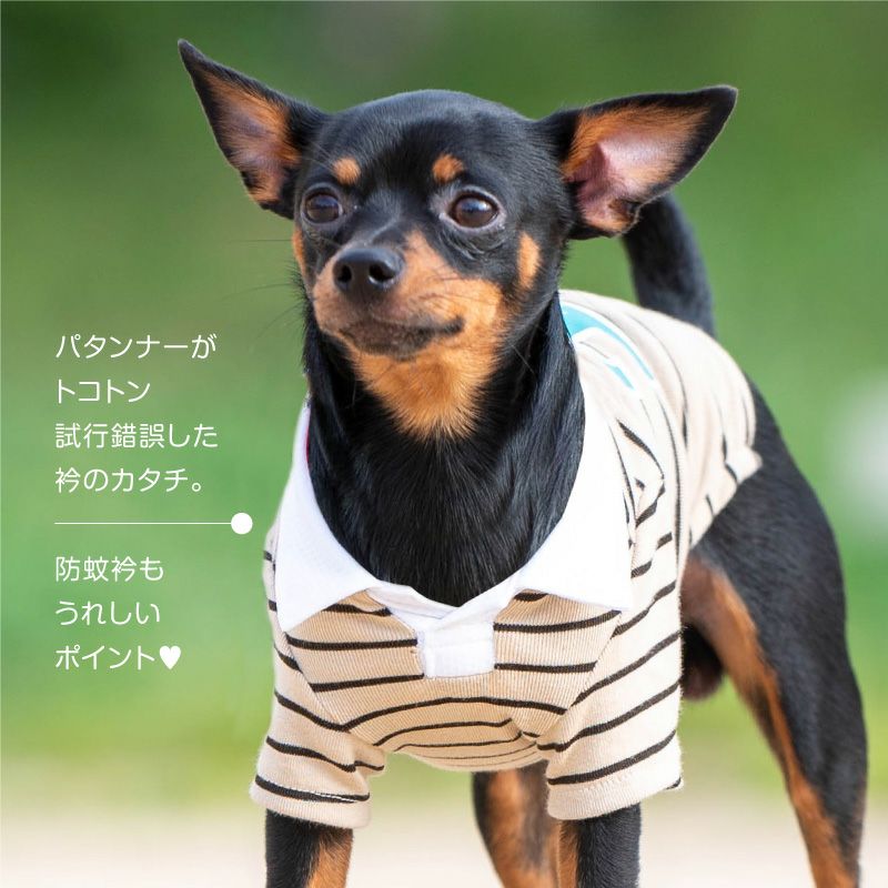 防蚊衿バックプリントフライスポロシャツ(ダックス・小型犬用