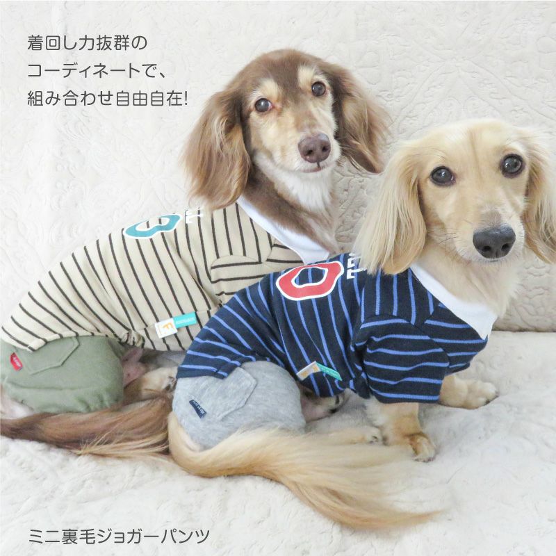 防蚊衿バックプリントフライスポロシャツ(ダックス・小型犬用) | 犬猫