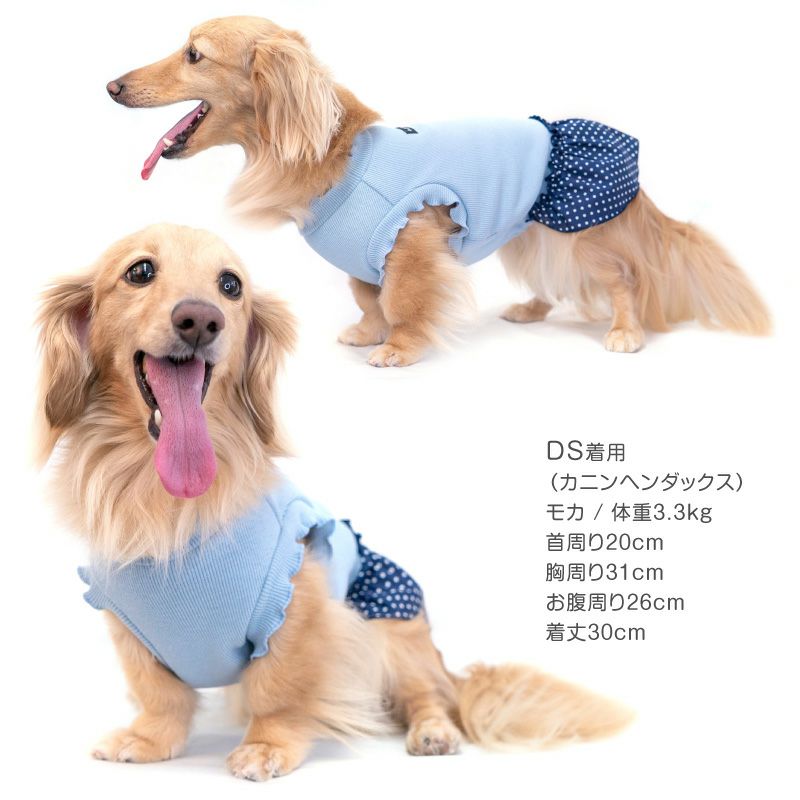 ドット柄フリルテレコワンピース(ダックス・小型犬用)