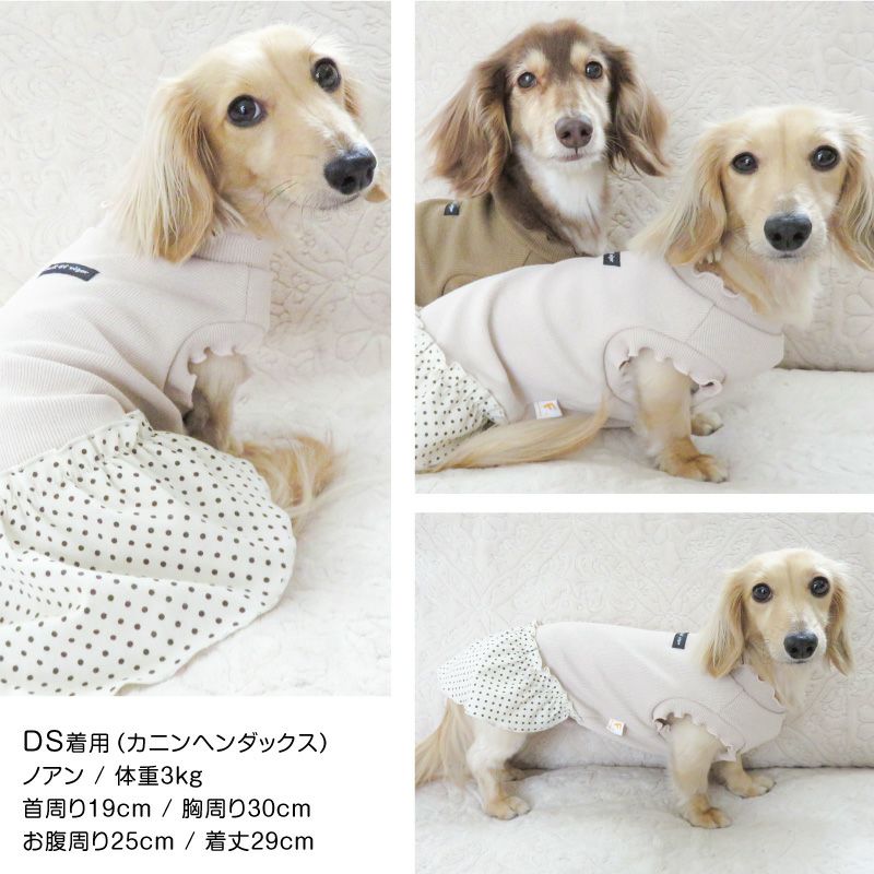 ドット柄フリルテレコワンピース(ダックス・小型犬用)