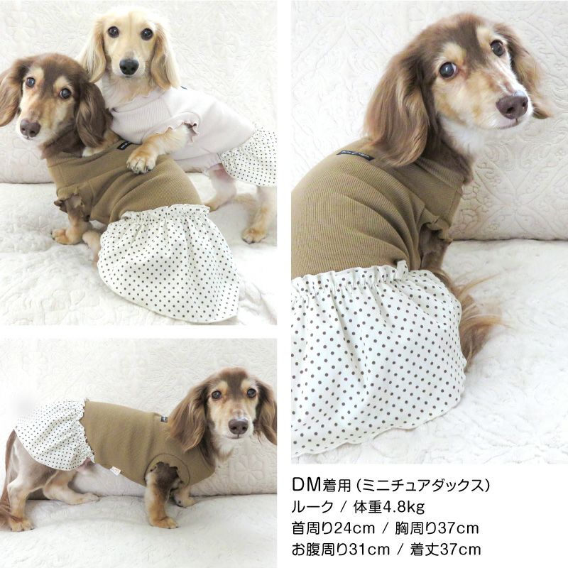 ドット柄フリルテレコワンピース(ダックス・小型犬用)
