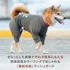 ドッグプレイ(R)裏起毛ハイテンションラッシュガード（中型犬用）