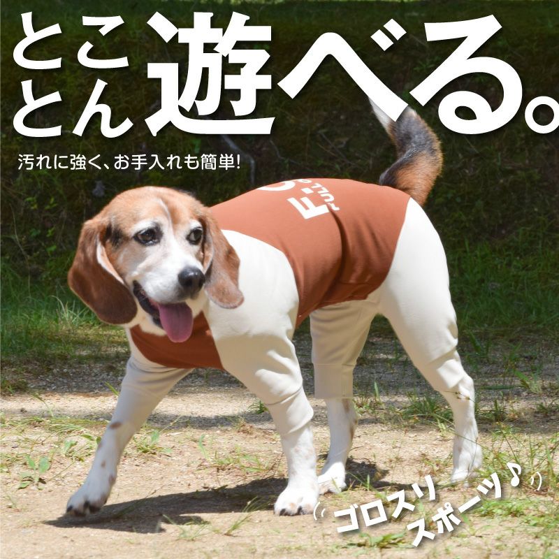 ドッグプレイ(R)裏起毛ハイテンションラッシュガード（中型犬用）