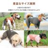 ドッグプレイ(R)裏起毛ハイテンションラッシュガード（中型犬用）