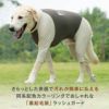 商品画像2