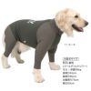 ドッグプレイ(R)裏起毛ハイテンションラッシュガード（大型犬用）