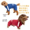 ドッグプレイ(R)セットアップ風つなぎ