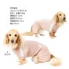 ドッグプレイ(R)セットアップ風つなぎ