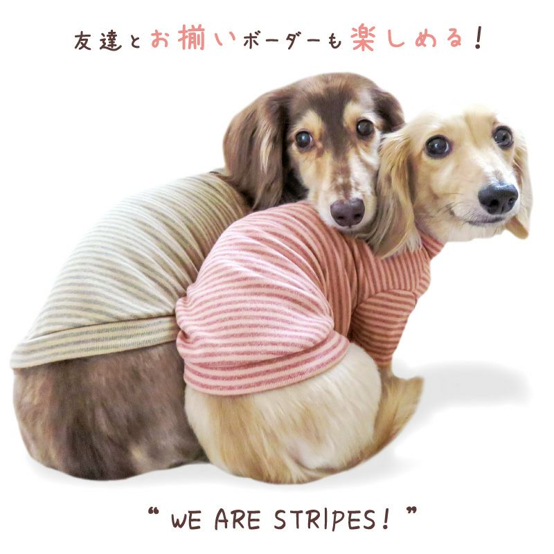 フライスボーダーTシャツ(ダックス・小型犬用)