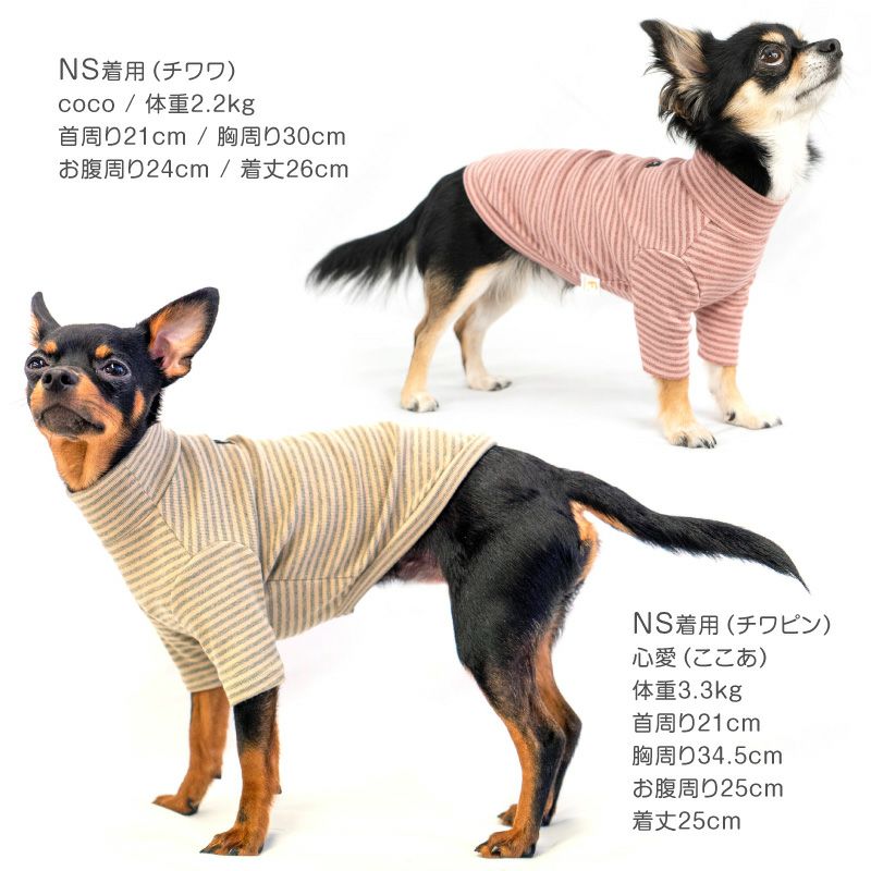 フライスボーダーTシャツ(ダックス・小型犬用)