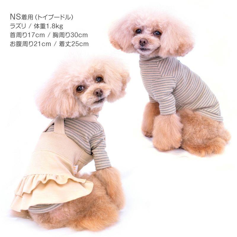 フライスボーダーTシャツ(ダックス・小型犬用)