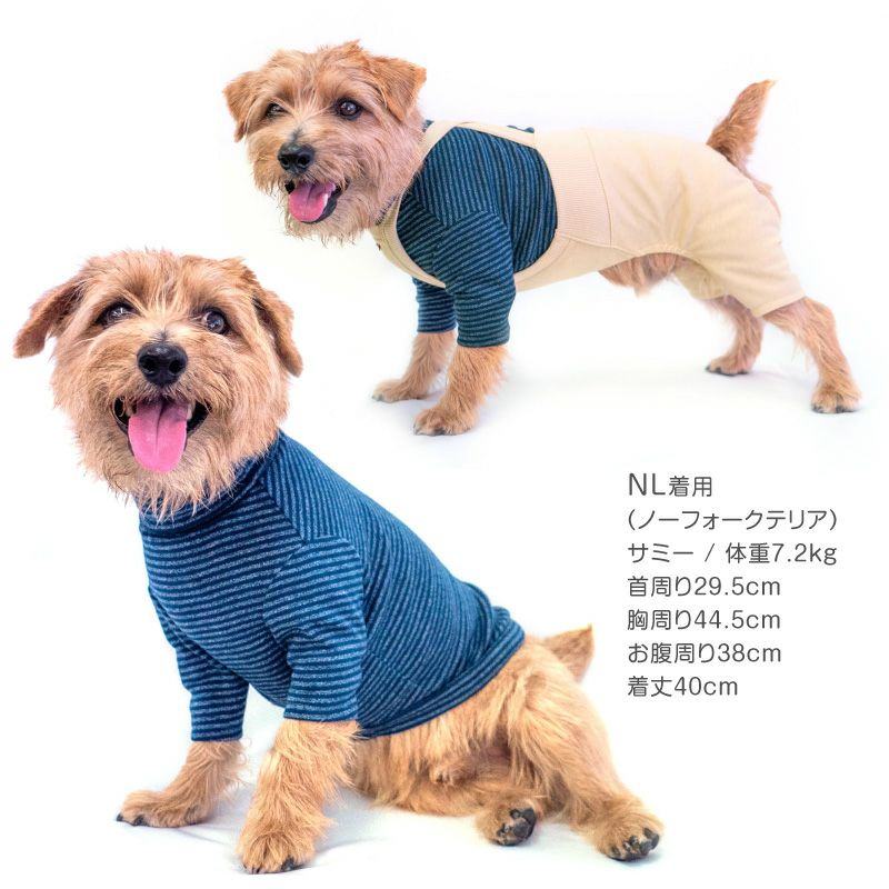 フライスボーダーTシャツ(ダックス・小型犬用)