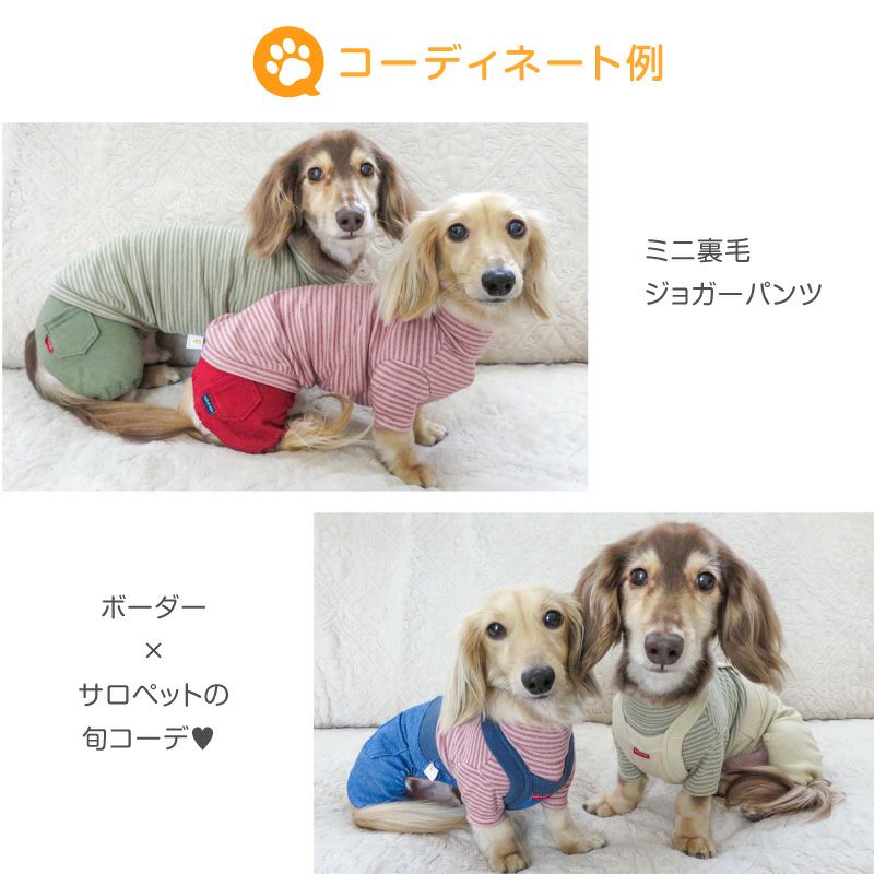 フライスボーダーTシャツ(ダックス・小型犬用)