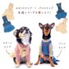 フライスボーダーTシャツ(ダックス・小型犬用)