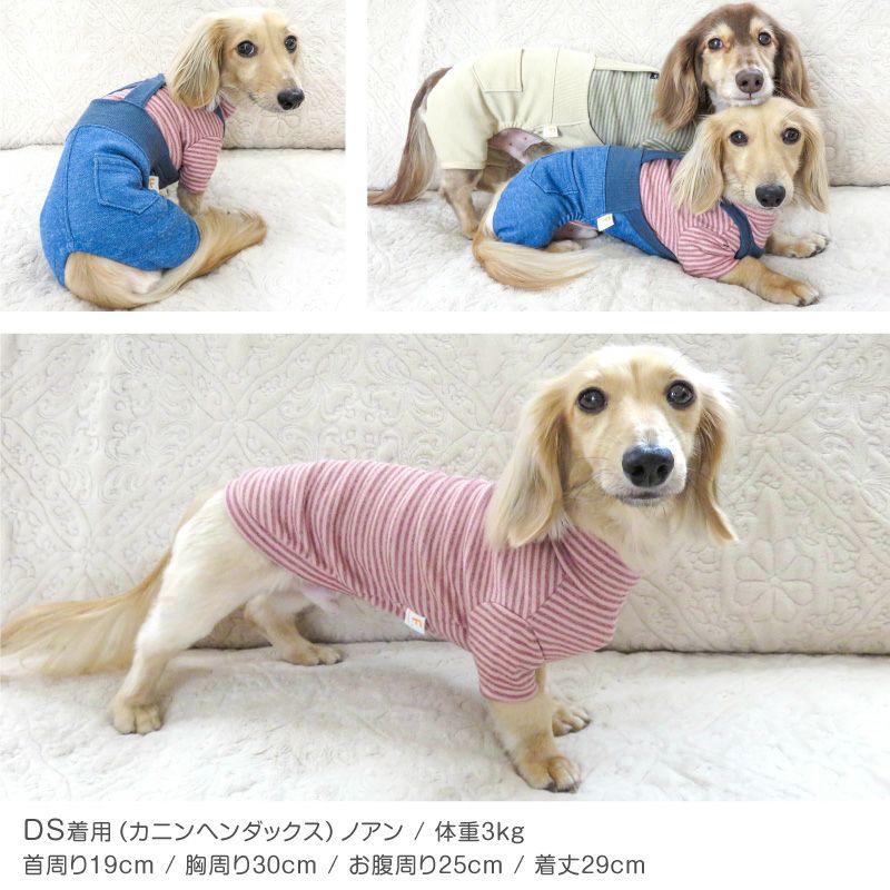 フライスボーダーTシャツ(ダックス・小型犬用)