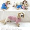フライスボーダーTシャツ(ダックス・小型犬用)