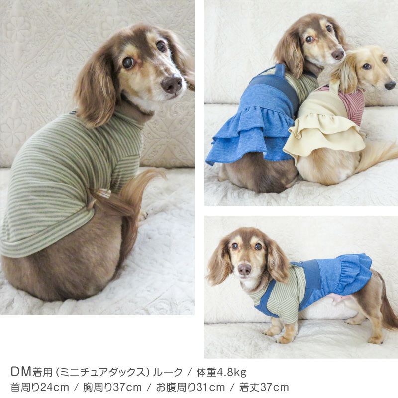 フライスボーダーTシャツ(ダックス・小型犬用)