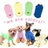 配色メロウハイネックTシャツ(ダックス・小型犬用)