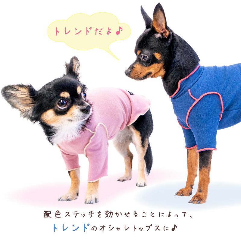 配色メロウハイネックTシャツ(ダックス・小型犬用)