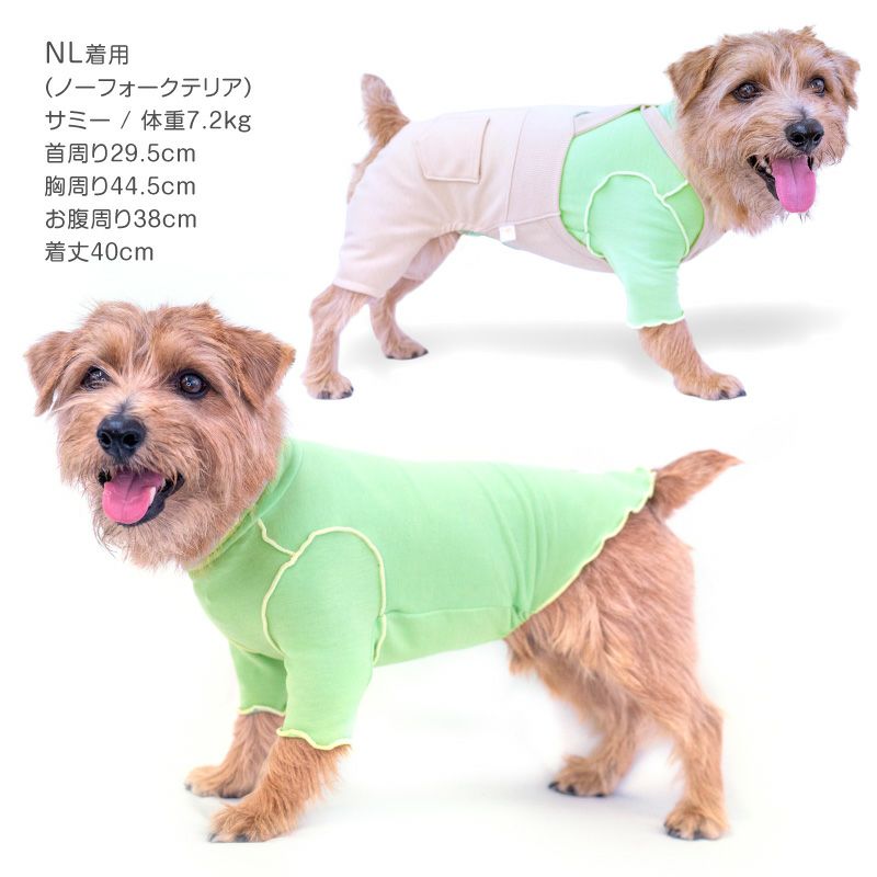 配色メロウハイネックTシャツ(ダックス・小型犬用)