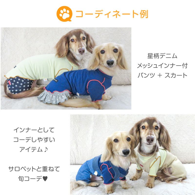 配色メロウハイネックTシャツ(ダックス・小型犬用)