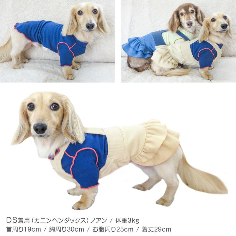 配色メロウハイネックTシャツ(ダックス・小型犬用)