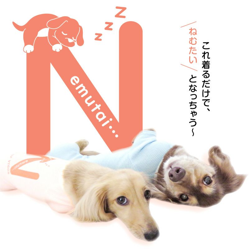 ねむたいプリントボーダーお部屋着(ダックス・小型犬用)