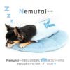 ねむたいプリントボーダーお部屋着(ダックス・小型犬用)