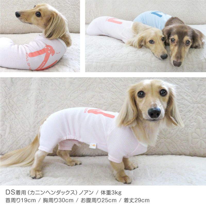 ねむたいプリントボーダーお部屋着(ダックス・小型犬用)