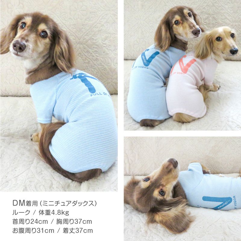 ねむたいプリントボーダーお部屋着(ダックス・小型犬用)