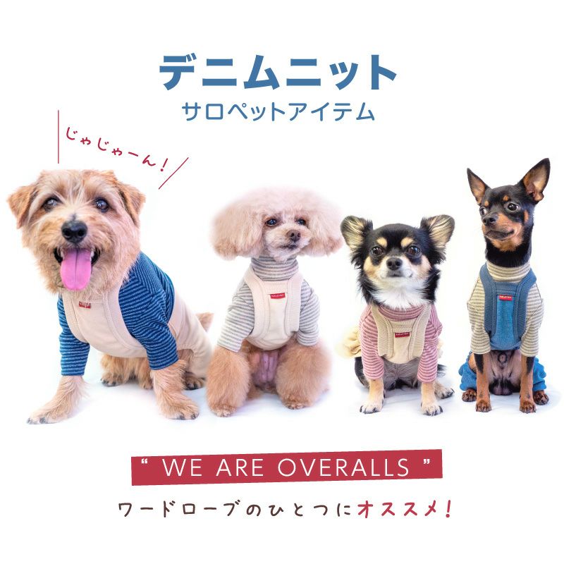 デニムニットサロペットスカート(ダックス・小型犬用)