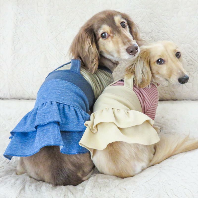 デニムニットサロペットスカート(ダックス・小型犬用)