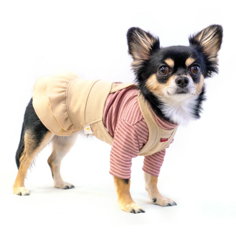 デニムニットサロペットスカート(ダックス・小型犬用)