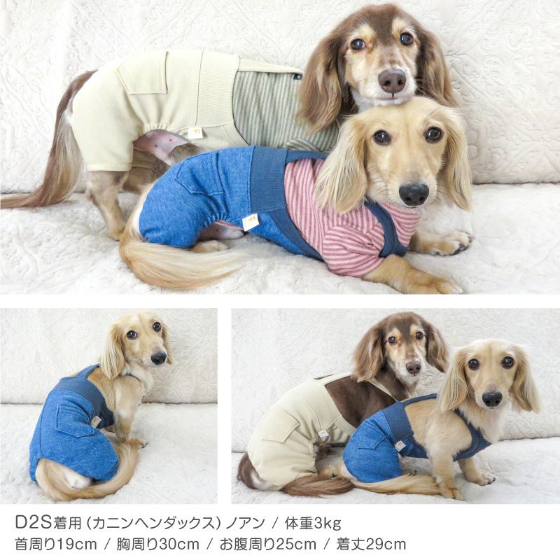デニムニットサロペットパンツ(ダックス・小型犬用)