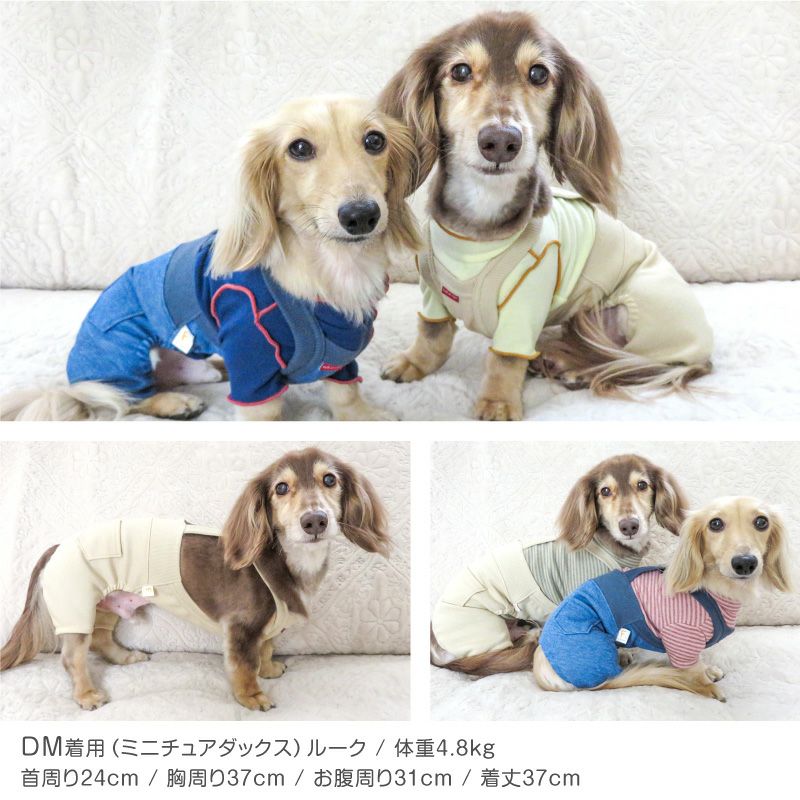 デニムニットサロペットパンツ(ダックス・小型犬用)