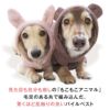 アニマルフードもこもこパイルベスト(ダックス・小型犬用)