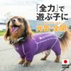 ドッグプレイ(R)裏起毛ラッシュガード(ダックス・小型犬用)