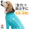 ドッグプレイ(R)裏起毛ラッシュガード(中型犬用)