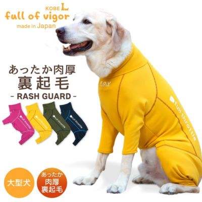 大型犬服 ラッシュガードラグランTシャツ 【専用】 - 犬用品