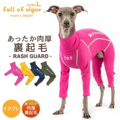 ドッグプレイ(R)裏起毛ラッシュガード(イタグレ用) | 犬猫の服の通販