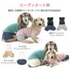 ワンポイントシンプルパイルタンク(ダックス・小型犬用)