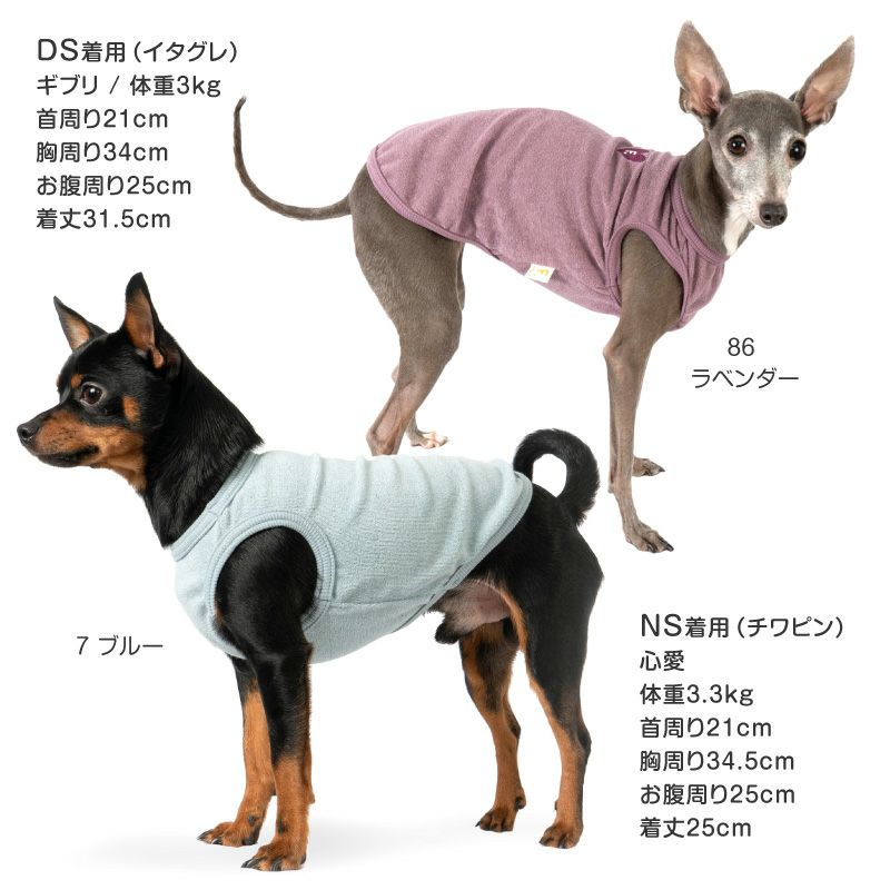 ワンポイントシンプルパイルタンク(ダックス・小型犬用)