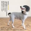 シンプル長袖インナーつなぎ(中型犬用)