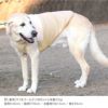 バイカラーフリースタンク(中型犬用)